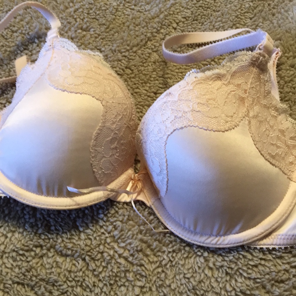 Light blush colored Heidi Klum bra.